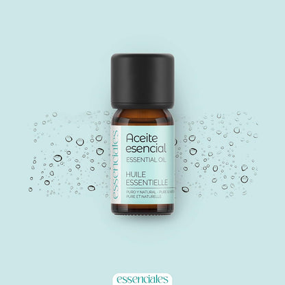 ESSENCIALES Aceite Esencial De Romero Alcanfor 10 Ml – 100% Puro Y Natural – Ideal Para Masaje Corporal, Aromaterapia Y Difusor