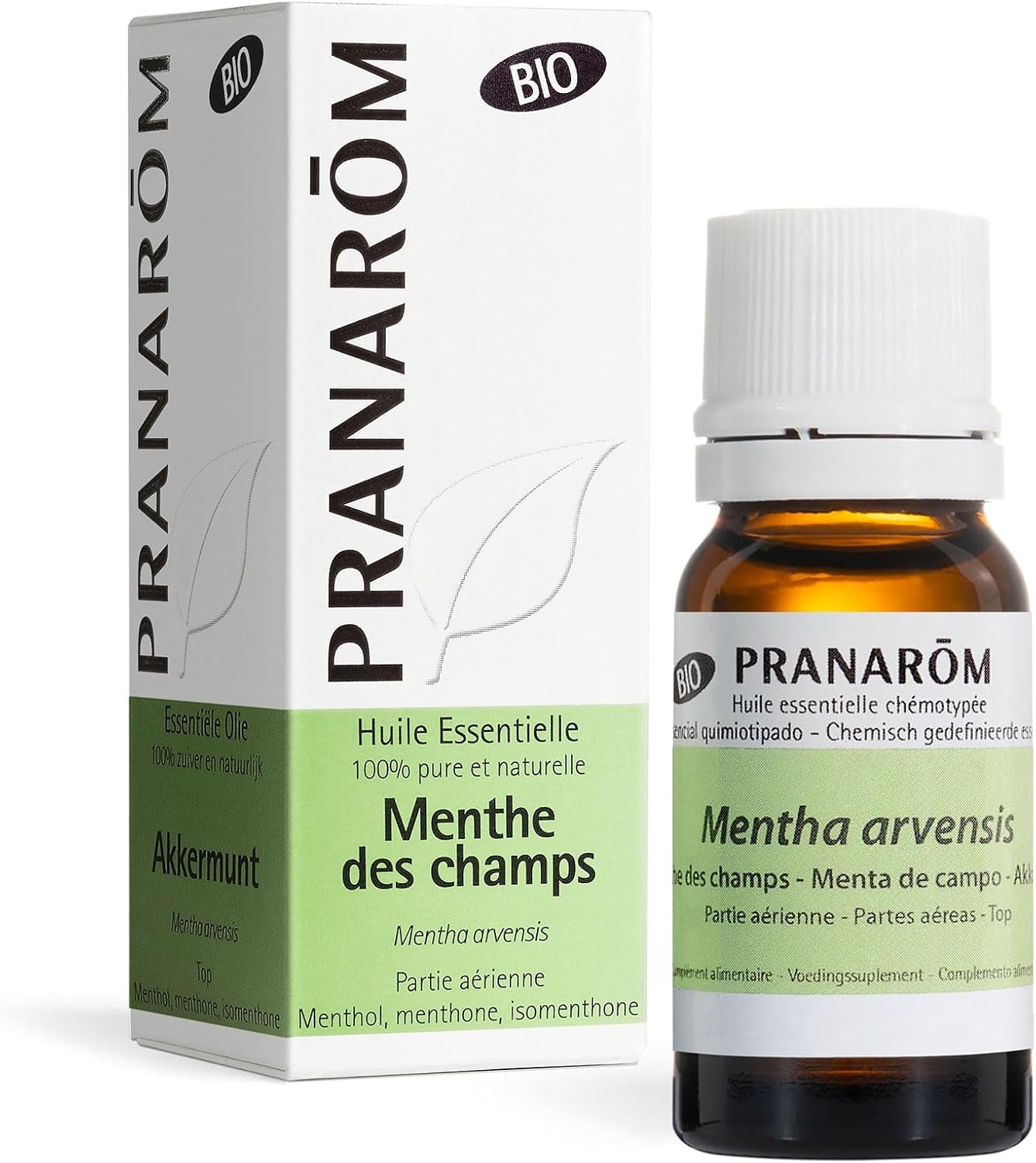 PRANAROM Aceite Esencial Menta De Campo Bio 10Ml – 100% Puro Y Natural HECT Quimiotipado Para Digestión Y Bienestar General