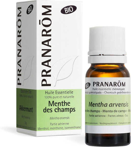 PRANAROM Aceite Esencial Menta De Campo Bio 10Ml – 100% Puro Y Natural HECT Quimiotipado Para Digestión Y Bienestar General